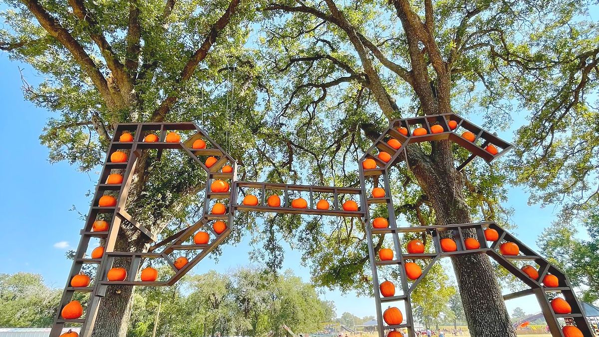 P-6 Farms Fall Festival