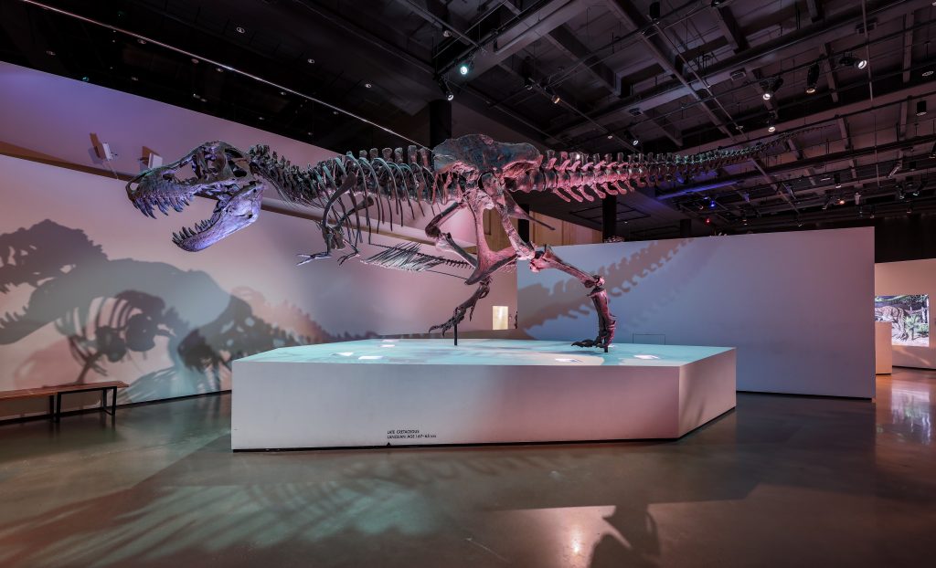 Houston Museum of Natural Science